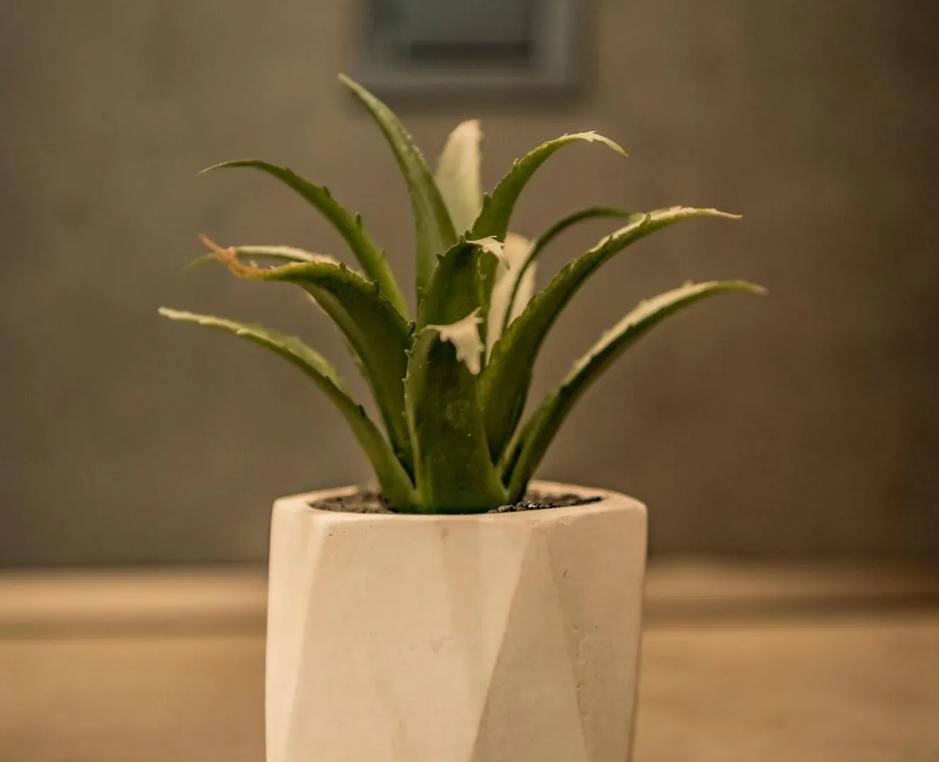 Urban Luxury Suites Thessaloniki Appartement